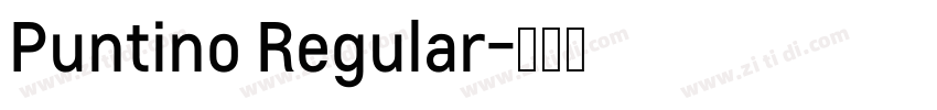 Puntino Regular字体转换